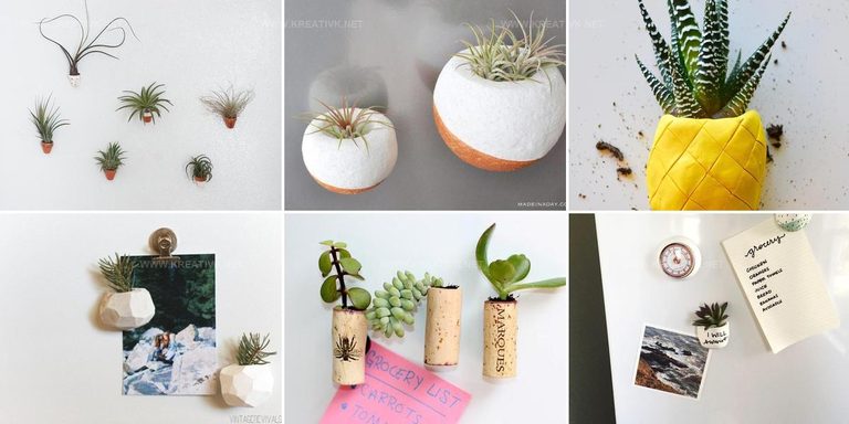 2763466 DIY Magnetic Planter Ideas