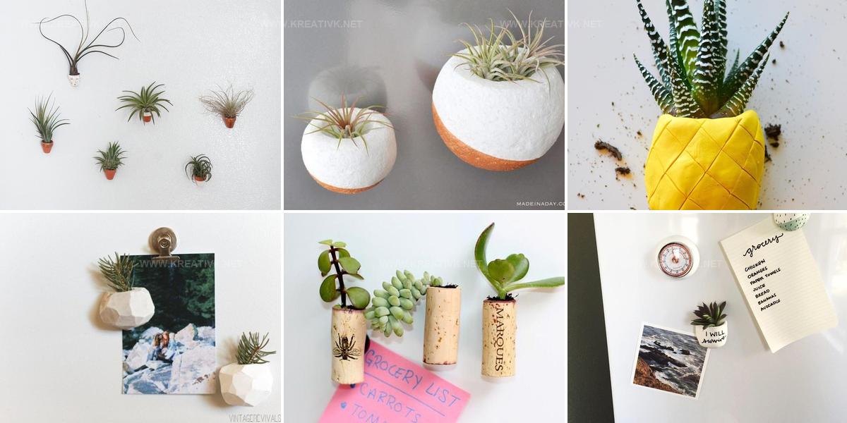 2763466 DIY Magnetic Planter Ideas