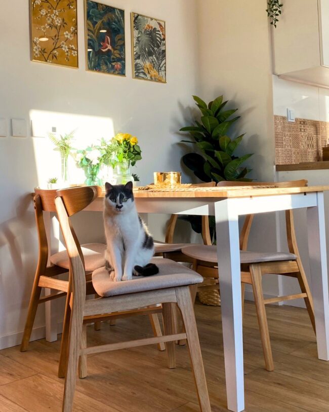 Guide to Choose the Perfect Minimalist Decor Items